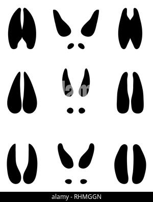 Schwarze Spuren der Hirsch auf weißem Hintergrund Stockfoto