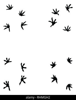 Schwarze Spuren der Eidechse auf weißem Hintergrund Stockfoto