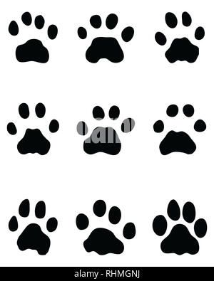 Schwarze Spuren von Leopard auf weißem Hintergrund Stockfoto