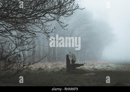 Eine Holzbank am Rande von Wald auf einen unheimlichen nebligen Wintertag. Mit einem Moody bearbeiten. Stockfoto