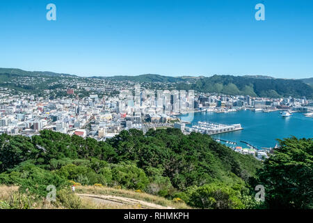 Blick über die Bucht von Wellington, mit Marina im Vordergrund und Geschäftsviertel und Hügeln im Hintergrund, Wellington, Neuseeland Stockfoto