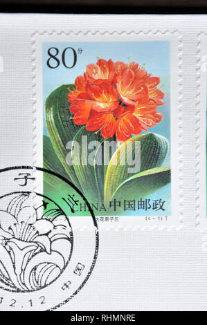 CHINA - ca. 2000: einen Stempel in China gedruckt zeigt 2000-24 Clivia, ca. 2000, ca. 2000 Stockfoto