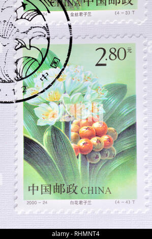 CHINA - ca. 2000: einen Stempel in China gedruckt zeigt 2000-24 Clivia, ca. 2000, ca. 2000 Stockfoto