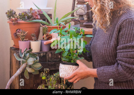 Frau, die Pflege der Ho0 me Garten mit Pflanzen - Umwelt und Natur für nette Leute Genießen und Wohlfühlen Stockfoto