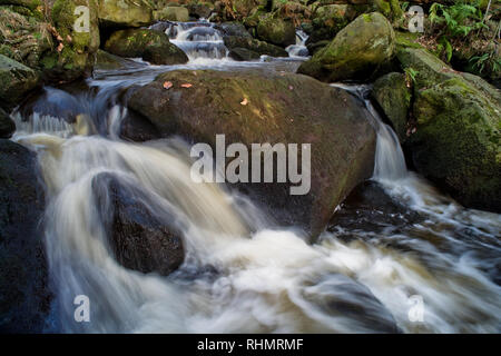 Burbage Bach in Padley Schlucht Stockfoto