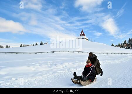 Februar 3, 2019 - Gulmarg, J&K, Indien - Eine indische Touristen gesehen genießen eine Fahrt auf Schnee Schlitten bei einem bekannten Skigebiet in Gulmarg, ungefähr 55 km von Srinagar, Indien verwalteten Kaschmir. Gulmarg, in den Ausläufern des Himalaya auf 2.745 Meter (9.000 Fuß) über dem Meeresspiegel gelegen, ist als einer der führenden Skigebiete in Südasien betrachtet. Credit: Saqib Majeed/SOPA Images/ZUMA Draht/Alamy leben Nachrichten Stockfoto