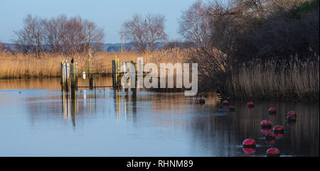 Wareham, Dorset, Großbritannien. 3. Februar 2019. UK Wetter: Eine ruhige Szene in der historischen Marktstadt Wareham als Booten und Bojen im Wasser an einem hellen, sonnigen Winter wider. Credit: DWR/Alamy leben Nachrichten Stockfoto