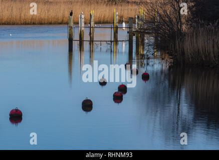 Wareham, Dorset, Großbritannien. 3. Februar 2019. UK Wetter: Eine ruhige Szene in der historischen Marktstadt Wareham als Booten und Bojen im Wasser an einem hellen, sonnigen Winter wider. Credit: DWR/Alamy leben Nachrichten Stockfoto