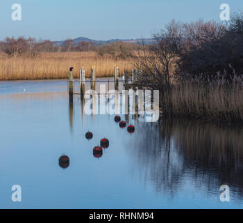 Wareham, Dorset, Großbritannien. 3. Februar 2019. UK Wetter: Eine ruhige Szene in der historischen Marktstadt Wareham als Booten und Bojen im Wasser an einem hellen, sonnigen Winter wider. Credit: DWR/Alamy leben Nachrichten Stockfoto