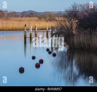 Wareham, Dorset, Großbritannien. 3. Februar 2019. UK Wetter: Eine ruhige Szene in der historischen Marktstadt Wareham als Booten und Bojen im Wasser an einem hellen, sonnigen Winter wider. Credit: DWR/Alamy leben Nachrichten Stockfoto