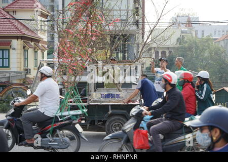 Hanoi, Vietnam. 28 Jan, 2019. Verschiedene Pflanzen werden an Kunden außerhalb der Blumenmarkt von Hanoi transportiert. Es wird davon ausgegangen, dass die Blumen viel Glück im neuen Jahr bringen. (Dpa' Goldfisch für Jade Kaiser: Religiöse Rituale sind dauerhafte in Vietnam" vom 04.02.2019) Credit: Bennett Murray/dpa/Alamy leben Nachrichten Stockfoto