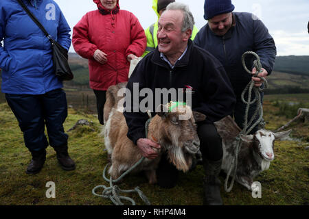 John rigney, Vorsitzender der Slieve Bloom Verbindung, mit der frisch gekrönte Ziegen während der 'Milking des Festivals die Ziege' auf Spink Hill, Co Offaly. Das Festival feiert Imbolc, die den Beginn des Frühlings, Marken und ist einer der vier Keltische Jahresfeste. Stockfoto