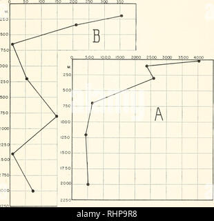 . Die biologische Bulletin. Biologie; Zoologie; Biologie; Meeresbiologie. Vertikale Verteilung von Zooplankton 129 umes zu der Zeit. Und während die Zahl der euphausiids wie Mengen Plankton unter 1.200 Meter erhöht, die Bedeutung dieser Gruppe in der Gesamtzahl der Gemeinschaft ging an diese Stationen, die bis in die tiefsten Schicht der Stichprobe (Abb. 3, A}, die Anzahl der euphau - siids pro 50cc. von Plankton ist viel kleiner, in Tiefen größer als 500 m als in die oberen 300 Meter. Diese vertikale Beziehung 100 ISO 20 Q 250 300 350 1000 1250 1500 500 1000 1500 2000 2500 3000 3500 Stockfoto