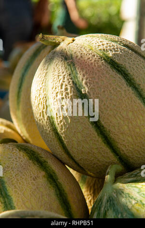 Melonen aus Cavaillon, reife Runde charentais Honig melone Melonen auf dem lokalen Markt in der Provence, Frankreich, in der Nähe Stockfoto