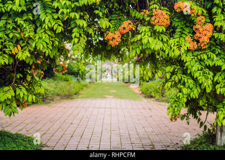 Arch von Blumen am Eingang zum Park Stockfoto