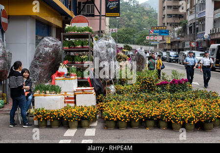 Anbieter gesehen verkaufen kumquat Bäume, auch als Tangerine Bäume bekannt, im Prince Edward Blumenmarkt während der Vorbereitungen. Die ehemalige britische Kolonie Hongkong bereitet sich für den Lunar Chinesisches Neues Jahr 2019. Menschen in der Stadt sind besetzt, der das Jahr des Schweins zu begrüßen. Stockfoto