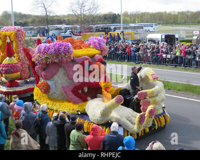 Bloemencorse Blumenkorso in Leiden, Niederlande, in der Nähe des Keukenhofs. Stockfoto