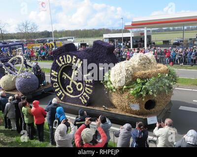 Bloemencorse Blumenkorso in Leiden, Niederlande, in der Nähe des Keukenhofs. Stockfoto