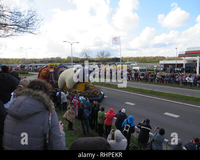 Bloemencorse Blumenkorso in Leiden, Niederlande, in der Nähe des Keukenhofs. Stockfoto