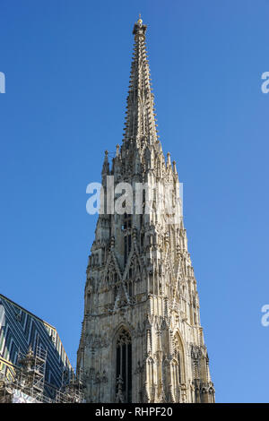 Südturm der Stephansdom in Wien, Österreich Stockfoto