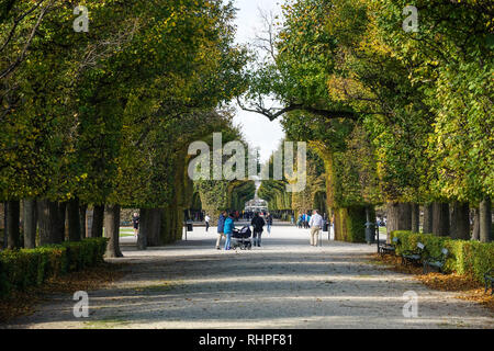 Schloss Schönbrunn Gärten in Wien, Österreich Stockfoto