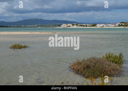 Salzwiesen in Armona Insel, Teil des Naturparks Ria Formosa an der Algarve Region des südwestlichen Portugal Stockfoto