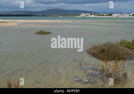 Salzwiesen in Armona Insel, Teil des Naturparks Ria Formosa an der Algarve Region des südwestlichen Portugal Stockfoto