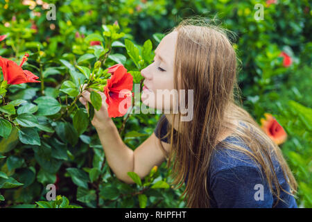 Junge Frau sniffing Hibiskus im Park Stockfoto