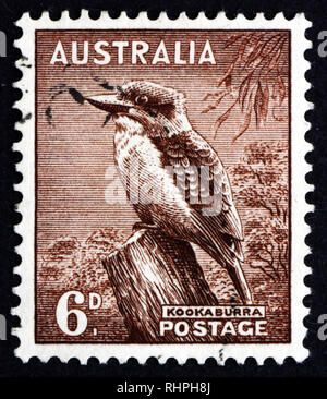 Australien - ca. 1942: einen Stempel in den Australien gedruckten zeigt Kookaburra, Dacelo, die australische Tierwelt, ca. 1942 Stockfoto