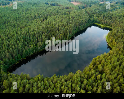 Luftbild von Oben nach Unten Blick auf schönen, grünen Wasser des Sees Gela. Vögel Auge Ansicht des malerischen smaragdgrünen See umgeben von Pinienwäldern. Wolken in Ge widerspiegelt Stockfoto