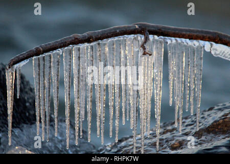 Eiszapfen auf Ast Stockfoto