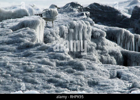 Eisformationen am See Stockfoto