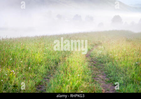 Land, Straße, Wicklung im hohen Gras. Am frühen Morgen, dicker Nebel über Bäume. Altai Gebirge, Kasachstan. Berg Wandern, Reisen Konzept Stockfoto