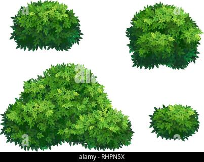 Grüne Büsche und Baumkrone. Stock Vektor