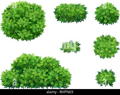 Grüne Büsche und Baumkrone. Stock Vektor