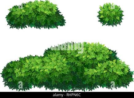 Grüne Büsche und Baumkrone. Stock Vektor