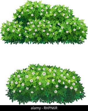 Grüne Büsche und Baumkrone mit weißen Blüten. Stock Vektor