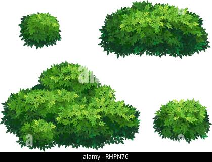 Grüne Büsche und Baumkrone. Stock Vektor