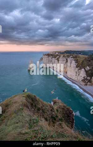 Die Klippen von Etretat bei Sonnenuntergang mit Möwen in der Normandie, Frankreich Stockfoto