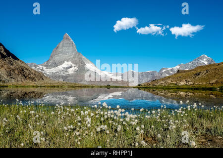 Blick auf Baumwolle Gras und Matterhorn im See Riffelsee in der Schweiz wider. Stockfoto