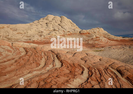 Muster der gestreifte Felsen, White Pocket, Vermilion Cliffs National Monument, Arizona Stockfoto