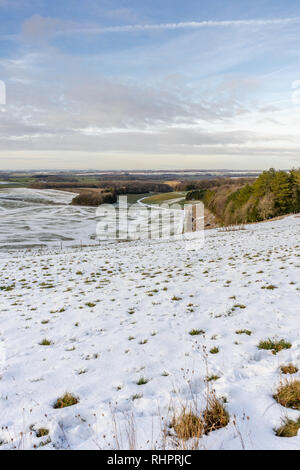 Blick von Cheesefoot Head an der South Downs Way über die Landschaft in der Nähe von Winchester im Winter 2019, South Downs National Park, England, Großbritannien Stockfoto