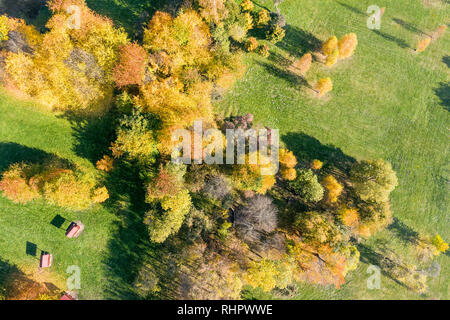 Antenne top Blick auf Park Bäume mit hellem Orange und gelbe Blätter im Herbst Saison Stockfoto