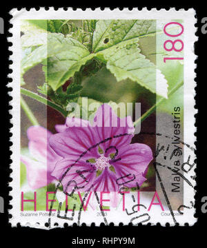 Briefmarke aus der Schweiz in der Flora Serie in 2005. Stockfoto