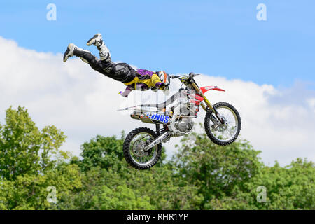 Ein Motorradfahrer aus Hondas Bold Hund Lings Freestyle Motocross Display Team führt aerial Stunts auf der Wilton House Classic & Supercar Show 2015 Stockfoto