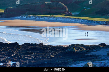 CULLEN BAY Küste von Moray in Schottland Winter mit Schnee auf den Felsen UND GOLFKURS UND SPAZIERGÄNGER AM STRAND Stockfoto