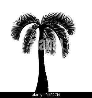 Palm Tree Silhouette auf weißem Hintergrund Vektor-illustration EPS 10 isoliert Stock Vektor