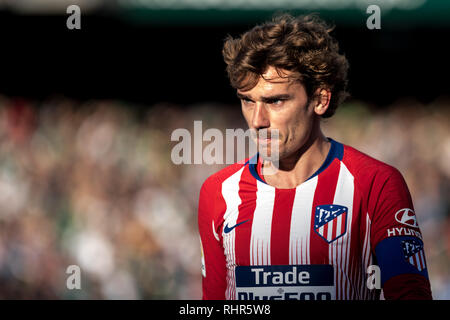 Sevilla, Spanien. 03 Feb, 2019. Griezmann von Atletico de Madrid schaut während der LaLiga Übereinstimmung zwischen Real Betis vs Atlético de Madrid im Estadio Benito Villamarin in Sevilla, Spanien. Credit: Javier Montaño/Pacific Press/Alamy leben Nachrichten Stockfoto