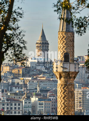 Galata-Turm zwischen den Bäumen und Minarett der Moschee. Bei Sonnenuntergang im Gulhane Park, Istanbul, Türkei Stockfoto