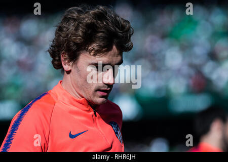 Sevilla, Spanien. 03 Feb, 2019. Griezmann von Atletico de Madrid während der LaLiga Übereinstimmung zwischen Real Betis vs Atlético de Madrid im Estadio Benito Villamarin in Sevilla, Spanien. Credit: Javier Montaño/Pacific Press/Alamy leben Nachrichten Stockfoto